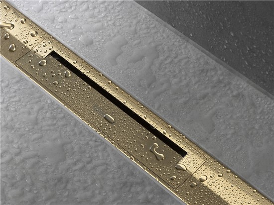 Hansgrohe Raindrain Flex Gold Optic